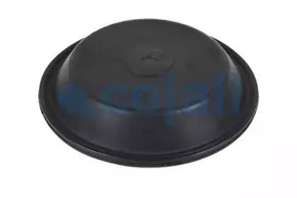cojali-6001121