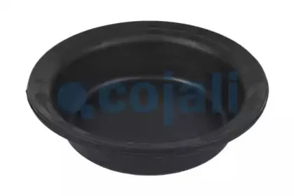 cojali-6001122