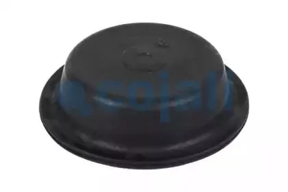 cojali-6001122