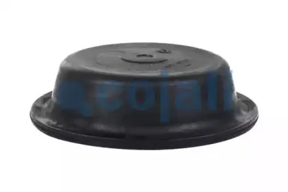 cojali-6001122