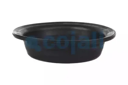 cojali-6001122