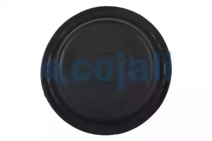 cojali-6001122