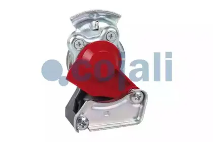 cojali-6001403