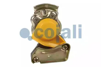cojali-6001406