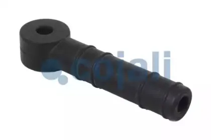cojali-6002202