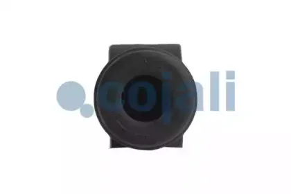 cojali-6002202