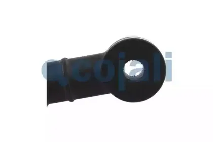 cojali-6002202