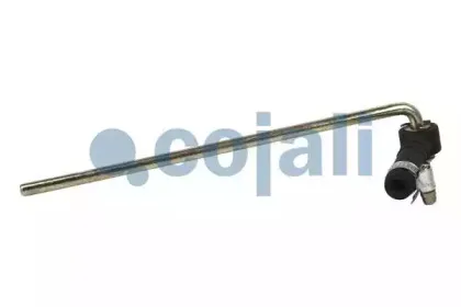 cojali-6002208