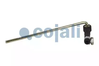 cojali-6002208