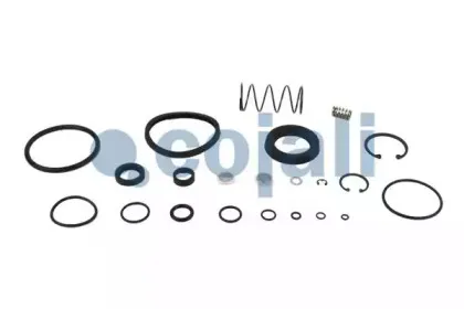 6012024 COJALI Ремкомплект, ускорительный клапан