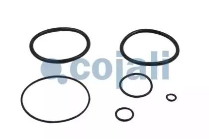 cojali-6012027