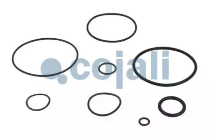 cojali-6012033