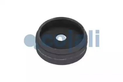 cojali-6012033