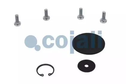 cojali-6012041
