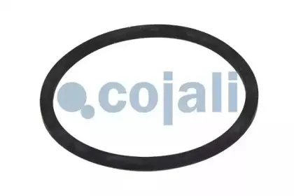 cojali-6012041
