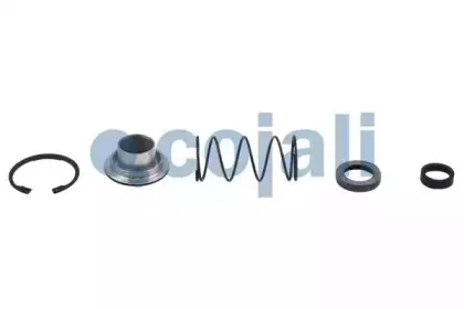 cojali-6012156