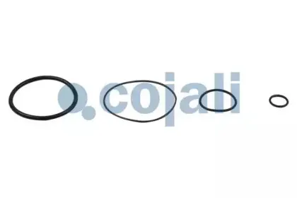 cojali-6012156