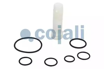 cojali-6012176