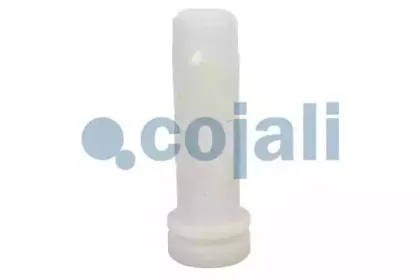 cojali-6012176