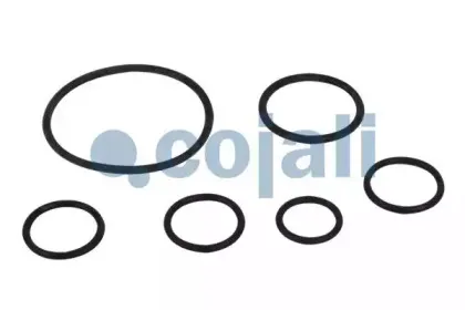 cojali-6012176