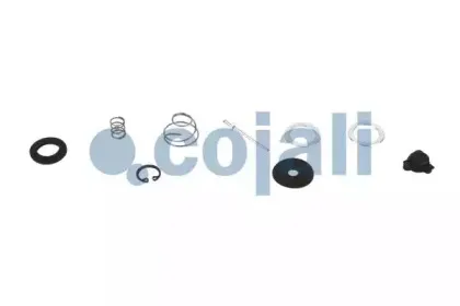 cojali-6012229