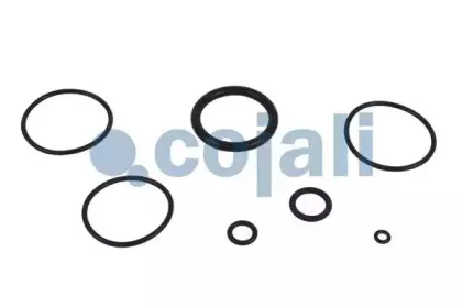 cojali-6012229
