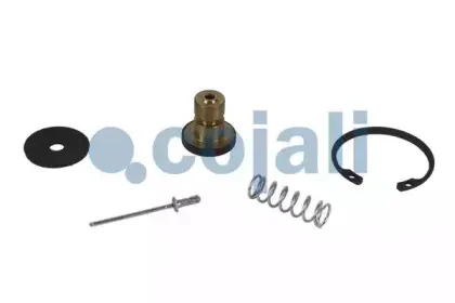 cojali-6012244