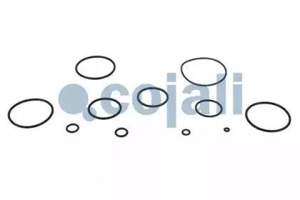 cojali-6012244