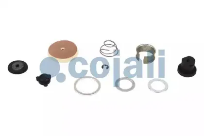 cojali-6012251