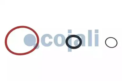 cojali-6012251