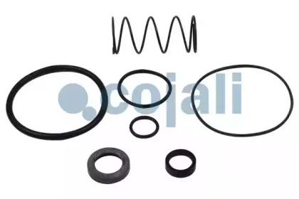 6012253 COJALI Ремкомплект, ускорительный клапан