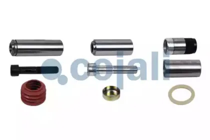 cojali-6084006