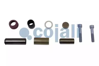 cojali-6084006