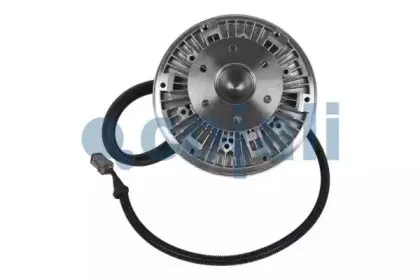 cojali-7023402