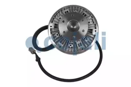 cojali-7023404