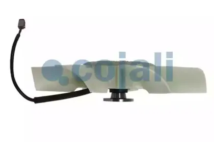 cojali-7025402