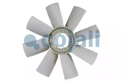 cojali-7047113