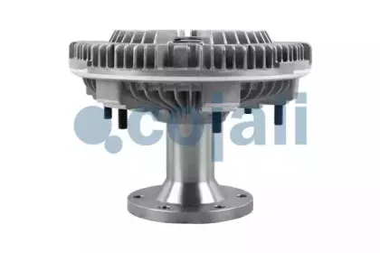 cojali-7063115