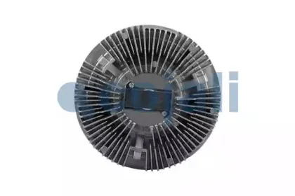 cojali-7063115