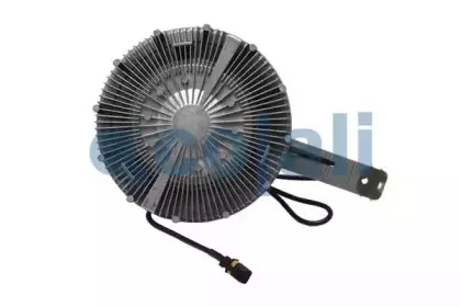 cojali-7063401