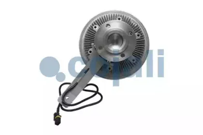 cojali-7063401