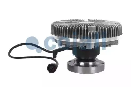 cojali-7083404