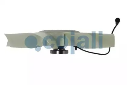 cojali-7085405