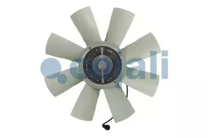 cojali-7085406