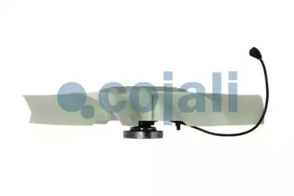 cojali-7085406