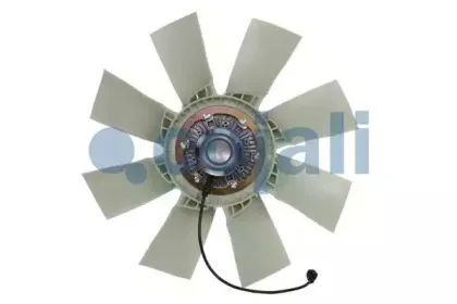 cojali-7085406