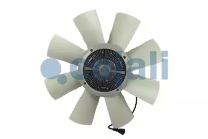 cojali-7085414