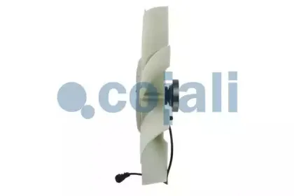 cojali-7085414