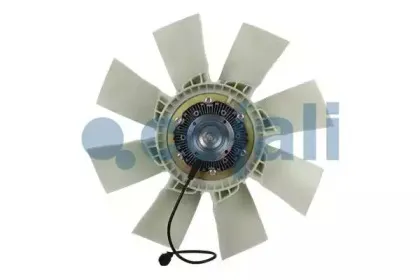 cojali-7085414