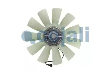 cojali-7085416